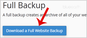 Backup Download Button