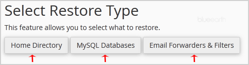 Select Restore Type