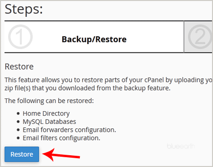 Restore Options